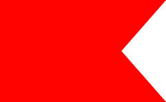 Bravo Flag