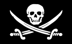 Jolly Roger Pirate Flag