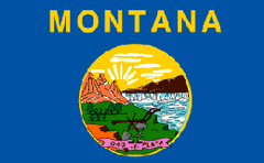 Montana State Flag