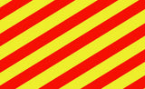 Yankee Flag